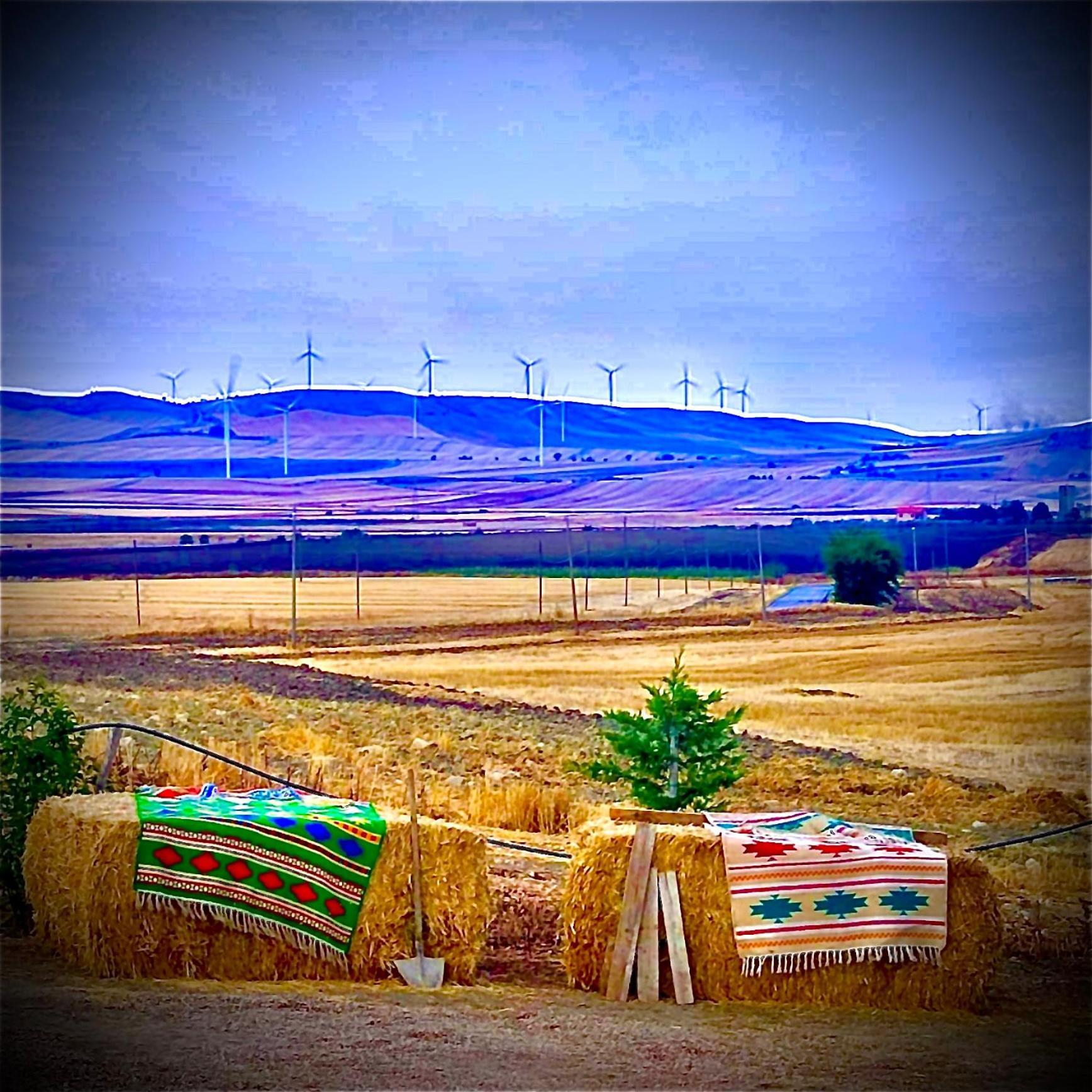Antica Masseria Il Casone Candela ภายนอก รูปภาพ